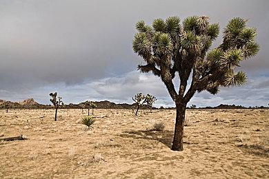 《勇者斗恶龙3：HD-2D重制版》受《塞尔达传说：旷野之息》启发