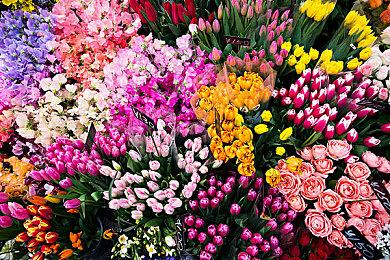 经典好评末日题材《轨道之下》新DLC“重责”发布